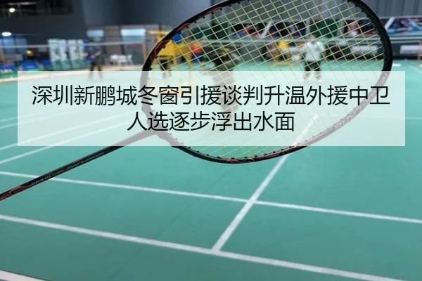 深圳新鹏城冬窗引援谈判升温外援中卫人选逐步浮出水面