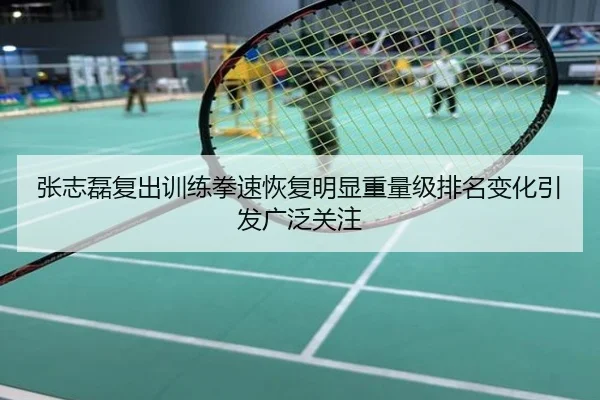 张志磊复出训练拳速恢复明显重量级排名变化引发广泛关注