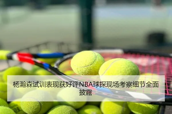 杨瀚森试训表现获好评NBA球探现场考察细节全面披露