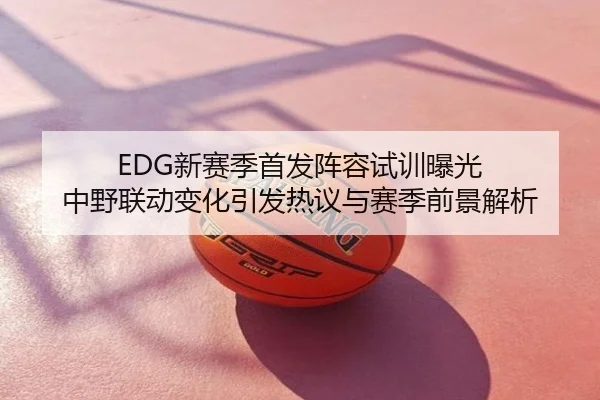 EDG新赛季首发阵容试训曝光 中野联动变化引发热议与赛季前景解析